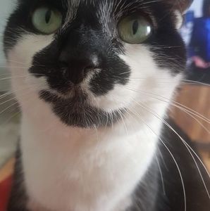 Meet your Posher, André